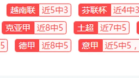 “周日激战：澳超对决——西部联迎战阿德莱德联”