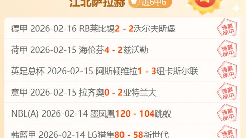 大乐透期号专家推荐：铜梁龙二比一击败三镇，杜月徵红牌退场，张